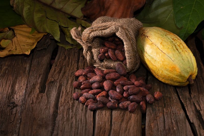 cacaobonen